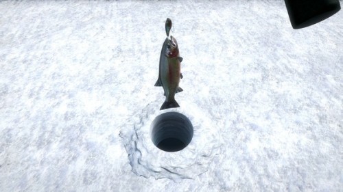 ia_300003370.jpg
