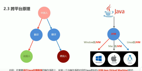 image-20220205214952499.png