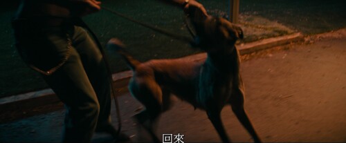 Dog.2022.2160p.WEB-DL.x265.10bit.SDR.DDP5.1.mkv_20220605_231030.699.jpg