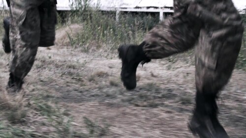 Z.Nation.2014.S01E01.1080p.mkv_20220610_170214.007.jpg