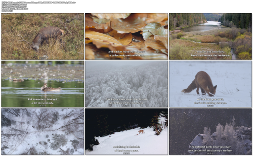 Wild.Romania.S01E03.Season.of.Change.1080p.HMAX.WEB-DL.DD5.1.H.264-playWEB.mkv.png