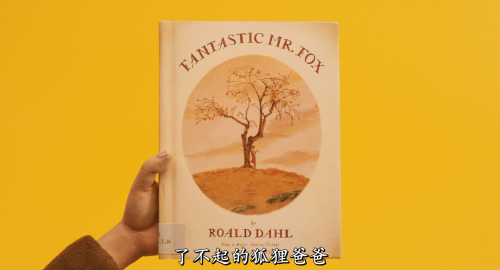 Fantastic.Mr.Fox.2009.BluRay.1080p.x265.10bit.3Audio.MNHD-FRDS.mkv_000127.337.png