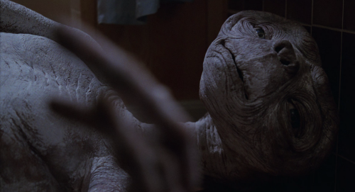 E.T.The.Extra-Terrestria.1982.BluRay.1080p.x265.10bit.2Audio.MNHD-FRDS.mkv._vthumb_-03.png