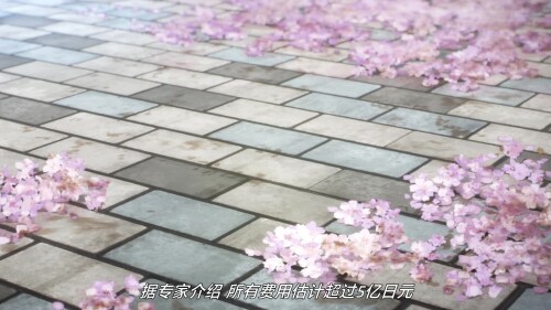 1ce161f9524a7ee11.jpg