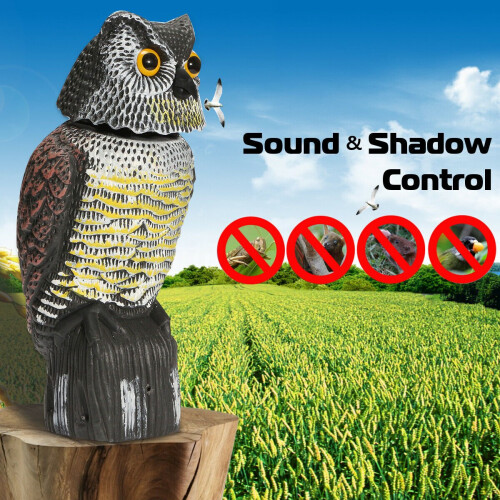 afe2bb26-c5b0-46fa-b38f-44970403b92a.8f65bd8531f0719ce91caded8214a489.jpg
