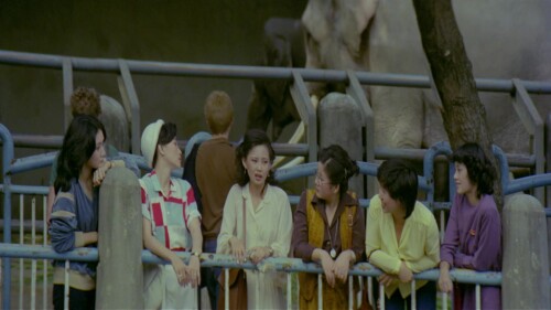 Cute.Girl.1980.BluRay.1080p.2Audio.DTS-HD.MA.2.0.x265.10bit-ALT.mkv_20221116_143916.968.jpg