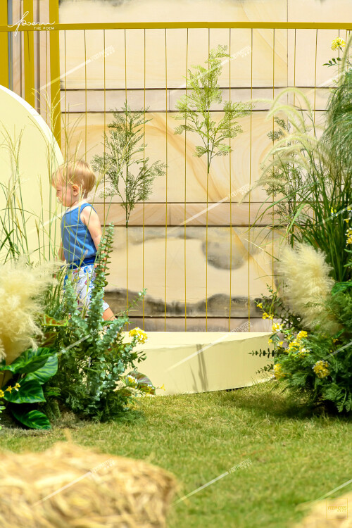 FOO_5544-LR1920PX-LG325dcbe3fff82456.jpeg