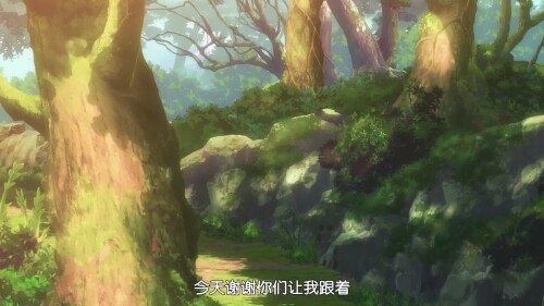 161c4bbd40b54504a.jpeg