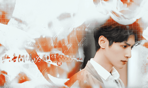 -003311b2a15259242ab.png