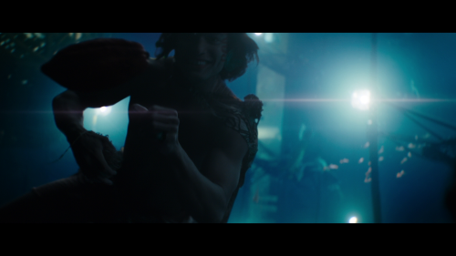 45eebc817a7d3669d.png