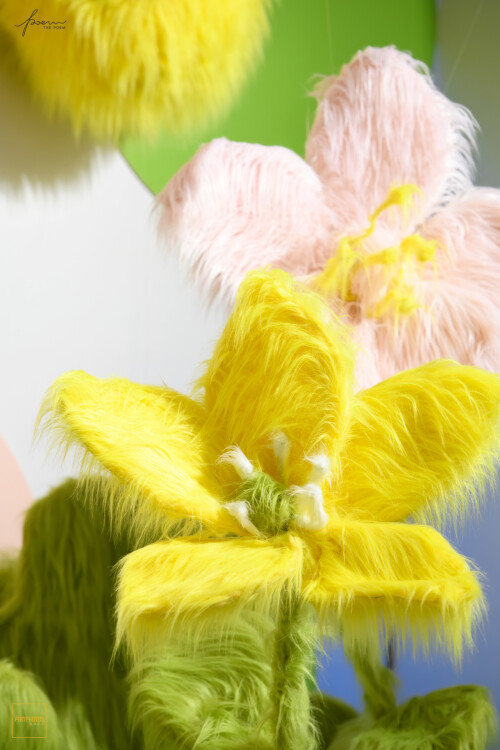 FOO_A9576LR-1920px41c20ef3ef1ec1f6.jpeg