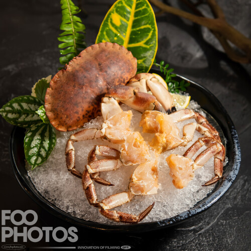 FOOPHOTOS-230412151ce4eade37dd5fc6.jpeg