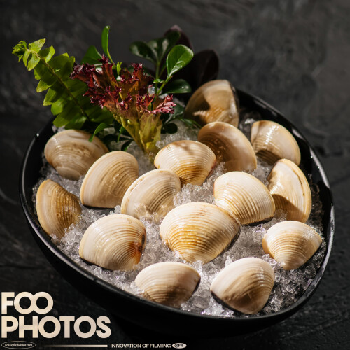 FOOPHOTOS-230412205da6b498d4449f9c.jpeg