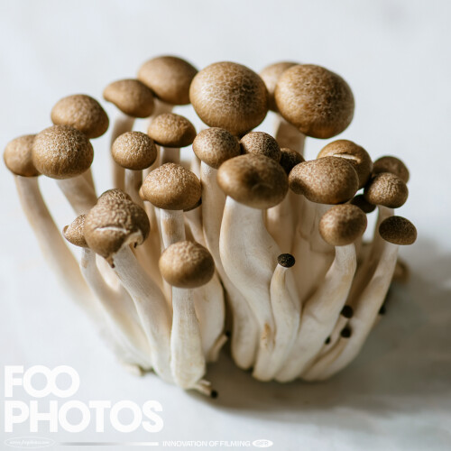 FOOPHOTOS-23041223eb8d2c5882954f61.jpeg