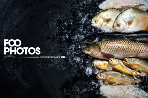 FOOPHOTOS-230412255fd64c4ff34bc4e4.jpeg