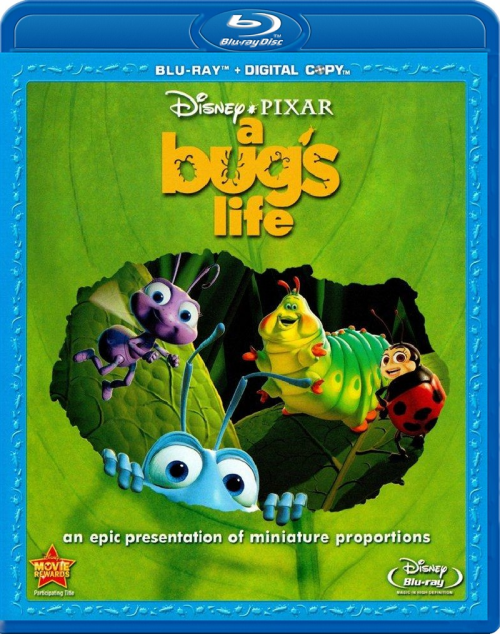 140e314e323a44cd0.png