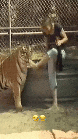 6403654214774470d09.gif
