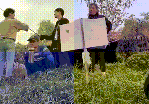 6402ac47ac5e8413bcb.gif