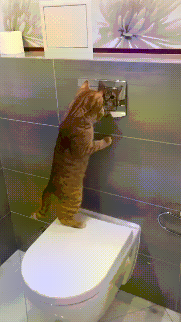 6405a5c73514ec0480c.gif