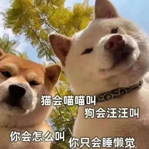 640a0c25e2304b94e75.jpeg