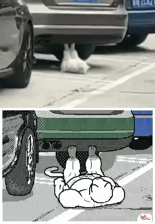 6403fa3ad76a413baf0.gif