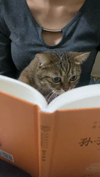 64049005f32f7570928.gif