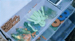 640fcd61bb359e0e0b2.gif