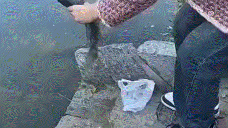 640955ec2dc8b76bd3c.gif