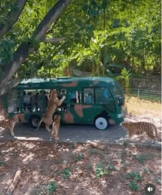 640c170e66d52c56893.gif