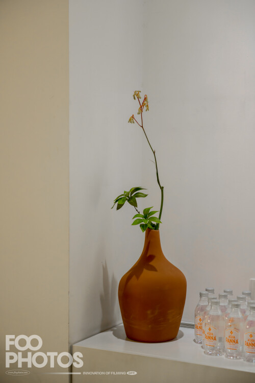 FOO_5225LR-LG918347e12c4ca507.jpeg
