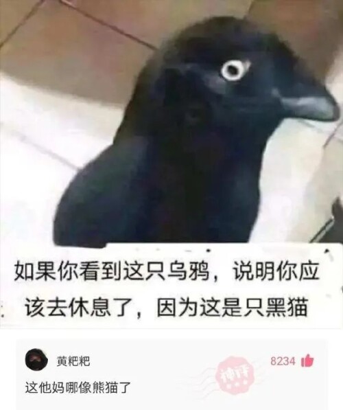 640aecb15439ac547c2.jpeg