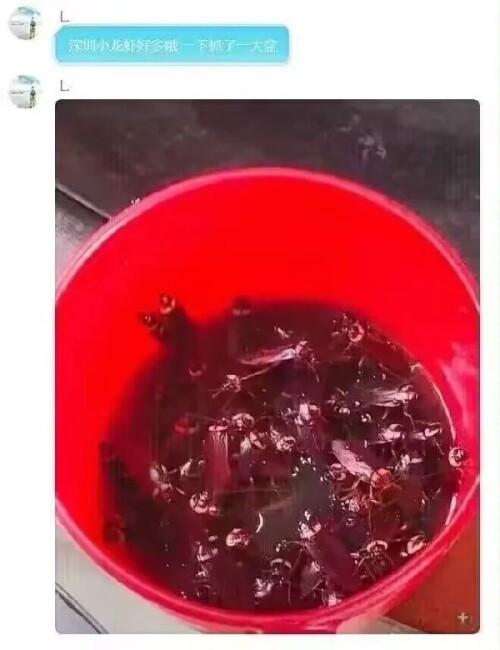 6408a99780500aaec4d.jpeg