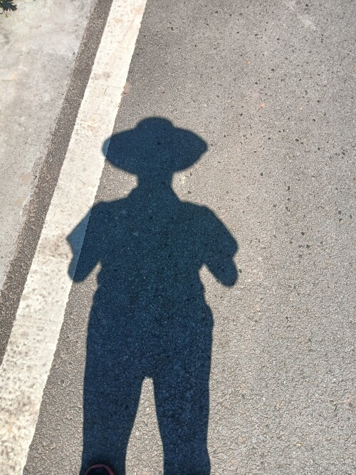 shadow1ff87d538f87fd54.jpeg
