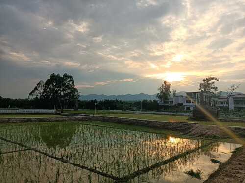 sunsetc83cd54f030a811a.jpeg