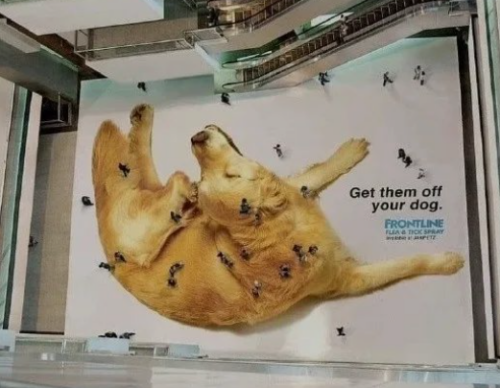 image39d3369e51173b49.png