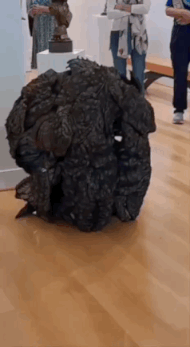 64028aef80b0656d8e7.gif