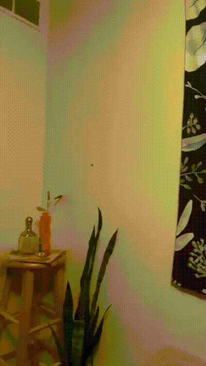 640cc4fbb985f68689f.gif