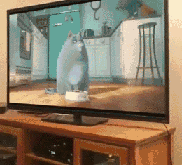 71f6f9627cb93b3e550f1aeb5449acb8.gif