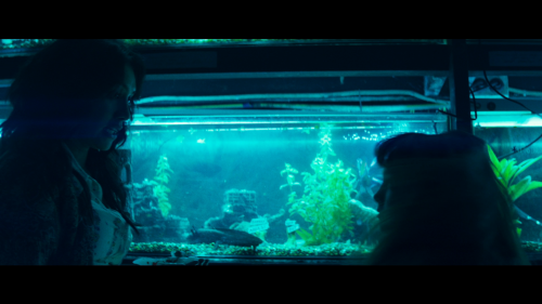 0905029be66d353f7a8ead.png