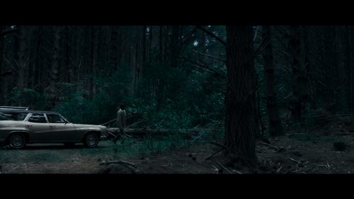 0905031ec319b06a83a79f.png