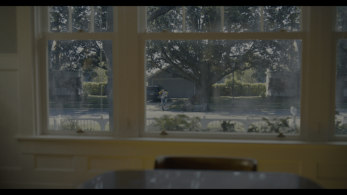 09050216e98d5a486ab50c.png
