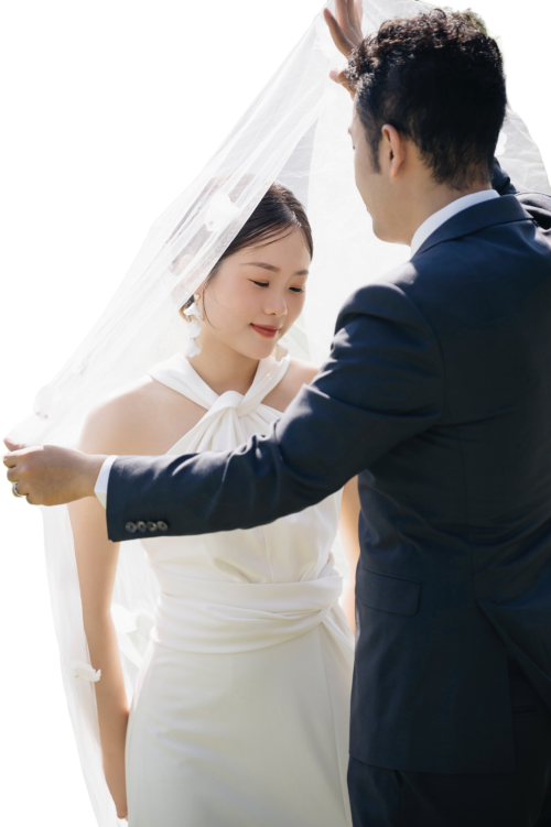 wedding-dressc03442a958539eb2.png