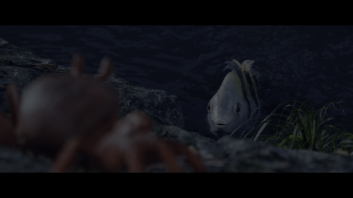09050264a8aa2537420d5b.png