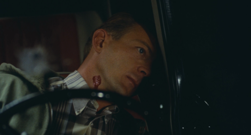 090502d094dd70185c6d5b.png