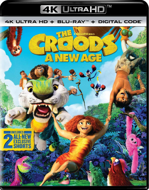 090501eac1796a5dabb9d0.png