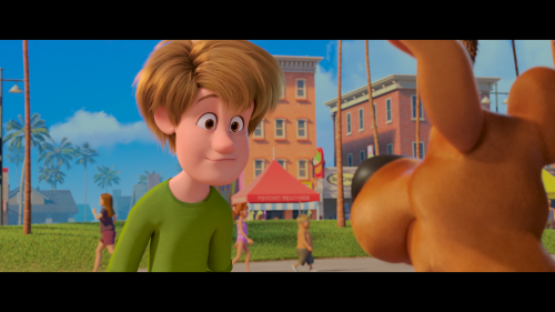 090502cfab862451ef8184.png