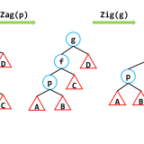 AVL-check-zag-zig3187f4963530c622