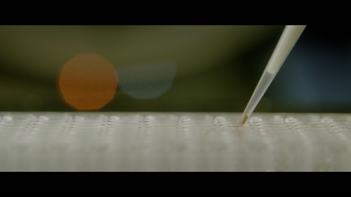 ScreenShot24a1ef06dff5bca7a.png