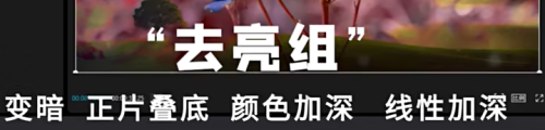 imagecf1bd7e5f2b913cc.png