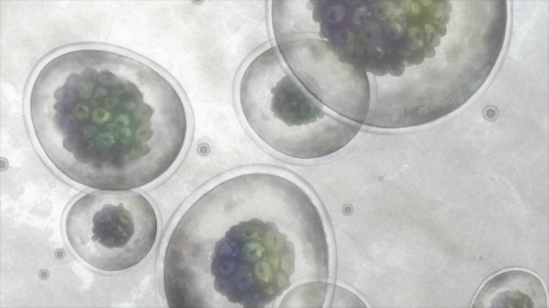 ScreenShot1d86e99144a6d621f.png